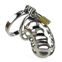 male-chastity-device-lock-stainless-steel-cock-cage.jpg