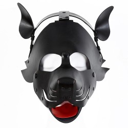 detachable dog hoods